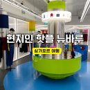 싱가포르 뉴바루 방문 후기 맛집 카페 쇼핑을 한번에