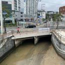 세파에 따르지    이미지