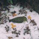 원주카톨릭병원 이미지