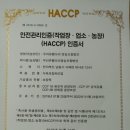 싱싱오리 이미지