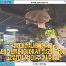 주식회사 테이블에이 고양이카페 | 홍대 실내 동물원 테이블에이 아이와 가기 좋은 고양이 카페 방문기