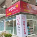 마냥귀엽개 이미지