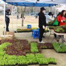 월곶어린이집 이미지