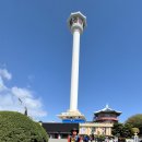 남파랑길3차 남포역~용두산공원~국제시장 ~자갈치시장 ~ 송도~암남공원~감천항~구평동 25.04.13 이미지
