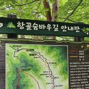 정선 항골계곡 숨바우길..(24.7.7 동영상) 이미지