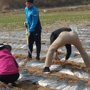 선도중학교 이미지