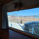 베일리하우스애견펜션 이미지