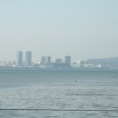 오이도종합어시장 이미지