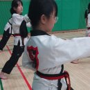 선랑태권도 이미지