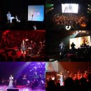 콘서트 문화일보