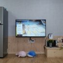 바다나무 민박 이미지