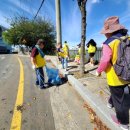 장림1동-9 이미지