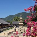 밀양 표충사 삼층석탑 密陽 表忠寺 三層石塔 이미지