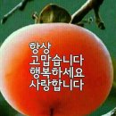 도근 이미지