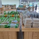 율포해수녹차센터 이미지