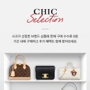 시크(CHIC) 이미지