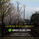 슈퍼리치공인중개사사무소 이미지