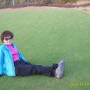 금수농장 이미지