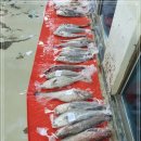 7월 13일(월) 목포는항구다 생선카페 판매생선[ 아나고장어 / 민어(예약) ] 이미지