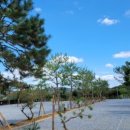 파주눌노리체험캠핑장 이미지