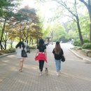 그늘막100 이미지