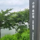 7월27일(토)서호꽃뫼공원과 축만제 이미지