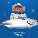 통영문참치 이미지