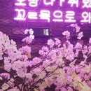 놈놈숯불닭갈비 이미지