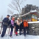 산들바람 이미지