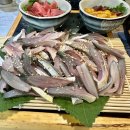 기훈수산 | 가성비 좋은 용암수산에서 전어회와 대하구이 먹고 온 후기