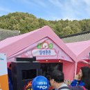 삼성김밥 이미지