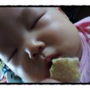 분당-283 이미지