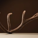 이종환한의원 이미지