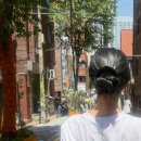 나인레빗
