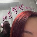 셀프 레드 염색 후기 : 로레알 마지로우즈 6.66 + 부스터 조합