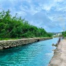 거북발전소 | 괌 남부투어 코스 및 가격 비교 등 괌 가족여행 준비