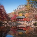 장성호관광지 매점화장실 | 장성 여행: 백양사, 축령산, 장성호