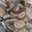 여주-0616 이미지