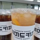 매머드익스프레스서초 이미지