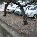 곡성군청 이미지