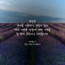현재포장