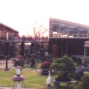 평화로 태양광발전소 이미지