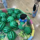 수박비누에 풍덩 이미지