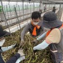 화성시 농업기술센터 이미지