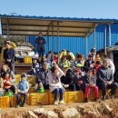 샛터농장 이미지