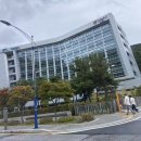 강원도 정선 하이원리조트 마운틴콘도 스카이1340 곤돌라 알파인코스터 탑승 후기 운영시간 가격