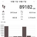 중부농산 | 🚶‍♀️매일걷기 306주차🚶‍♀️