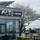 속초식당 이미지