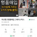럭스그레이스 이미지