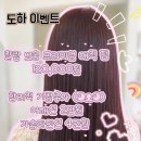 마드헤어